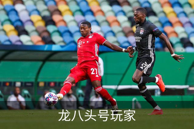 关于龙八头号玩家